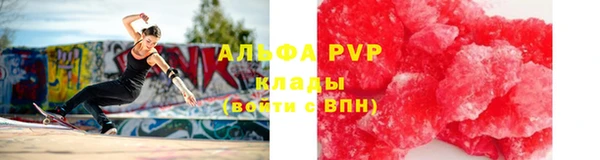 стафф Касимов