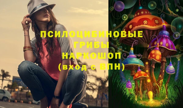 стафф Касимов