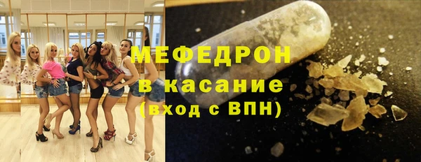 стафф Касимов