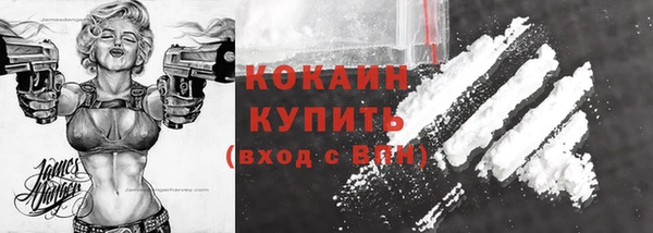 стафф Касимов